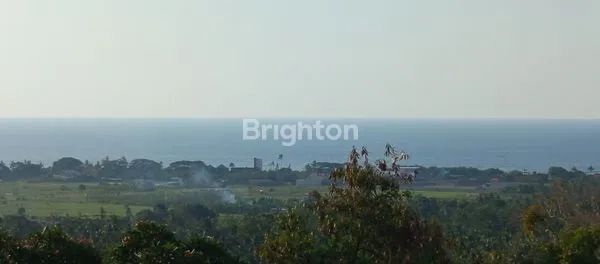 image SURGA INVESTASI: TANAH 18.000M² VIEW LAUT DI BUKIT LOVINA BALI (8)