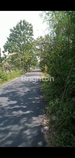 image LAHAN INVESTASI 1,5 HA DEKAT TOL KEBAKKRAMAT KARANGANYAR (1)