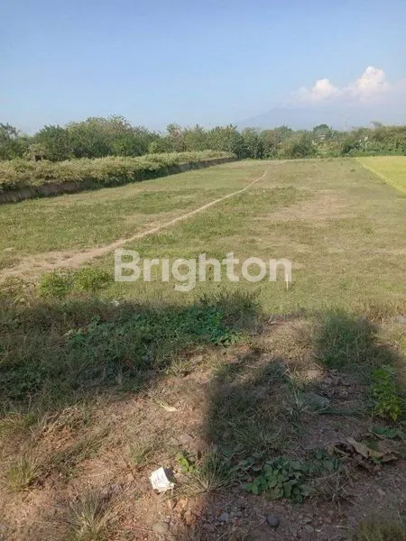 image LAHAN INVESTASI 1,5 HA DEKAT TOL KEBAKKRAMAT KARANGANYAR (2)