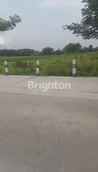 image LAHAN POTENSIAL 1,4 HA DI PUNGKRUK, COCOK USAHA & PERUMAHAN (2)