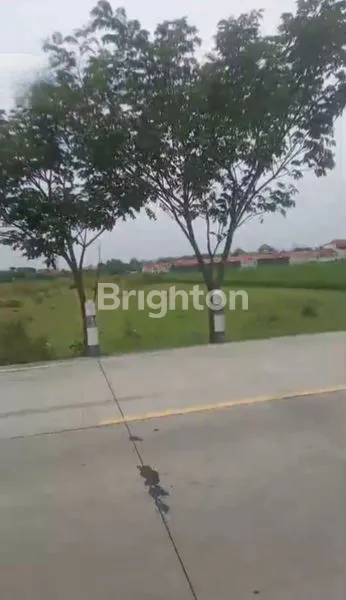 image LAHAN POTENSIAL 1,4 HA DI PUNGKRUK, COCOK USAHA & PERUMAHAN (3)