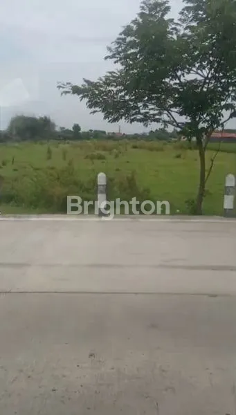 image LAHAN POTENSIAL 1,4 HA DI PUNGKRUK, COCOK USAHA & PERUMAHAN (1)