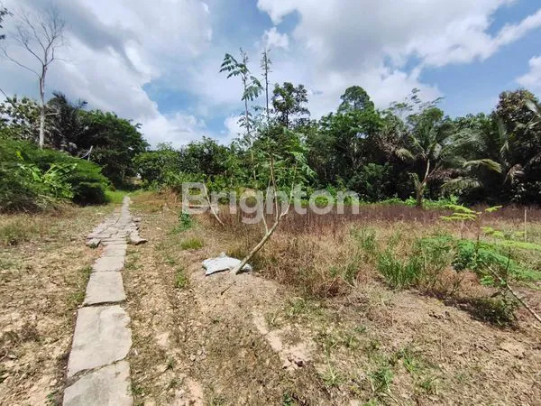 image TANAH DI AGRO WISATA KM 23 BALIKPAPAN (7)