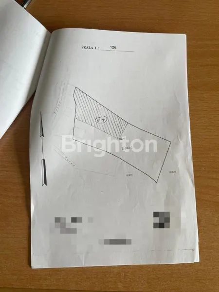 image TANAH DAN GEDUNG WALET GOWA (7)