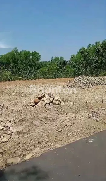 image TANAH LUAS 1,2 HEKTAR STRATEGIS DI KARANGANYAR, SHM LENGKAP (4)