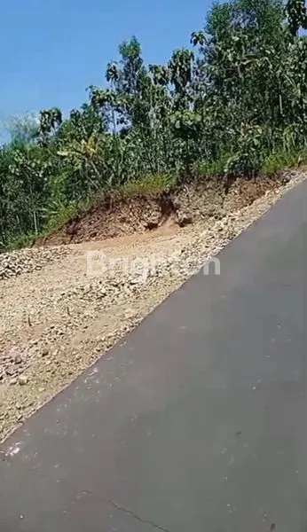 image TANAH LUAS 1,2 HEKTAR STRATEGIS DI KARANGANYAR, SHM LENGKAP (5)