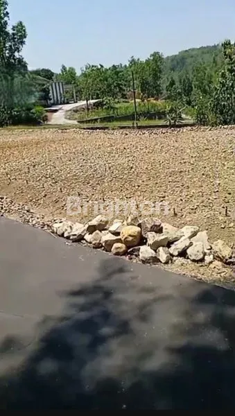 image TANAH LUAS 1,2 HEKTAR STRATEGIS DI KARANGANYAR, SHM LENGKAP (1)