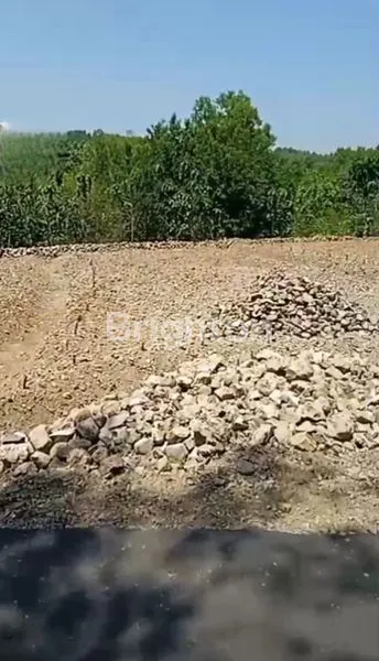 image TANAH LUAS 1,2 HEKTAR STRATEGIS DI KARANGANYAR, SHM LENGKAP (3)