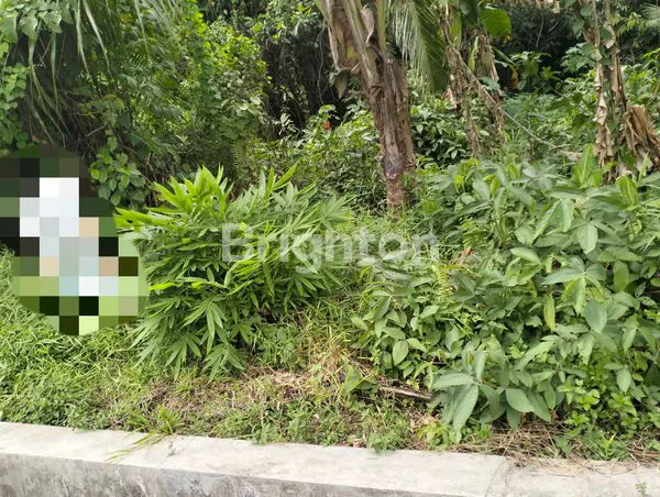 image TANAH MURAH 11X20 DAERAH PERJUANGAN GERILYA (3)