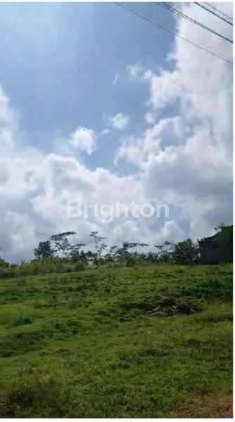 image DIJUAL TANAH KAVLING DI SEMBUNG GEDE TABANAN (1)