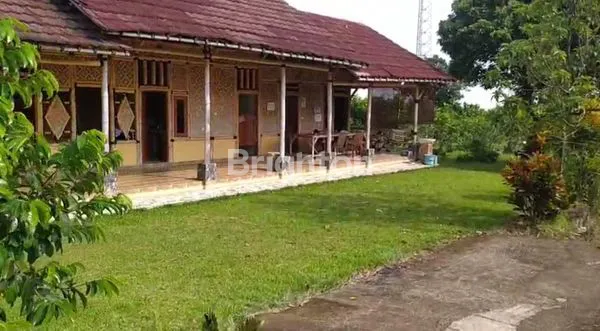 image LAHAN KEBUN LUAS LOKASI PAMIJAHAN KABUPATEN BOGOR (4)
