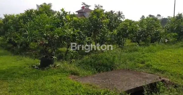 image LAHAN KEBUN LUAS LOKASI PAMIJAHAN KABUPATEN BOGOR (5)