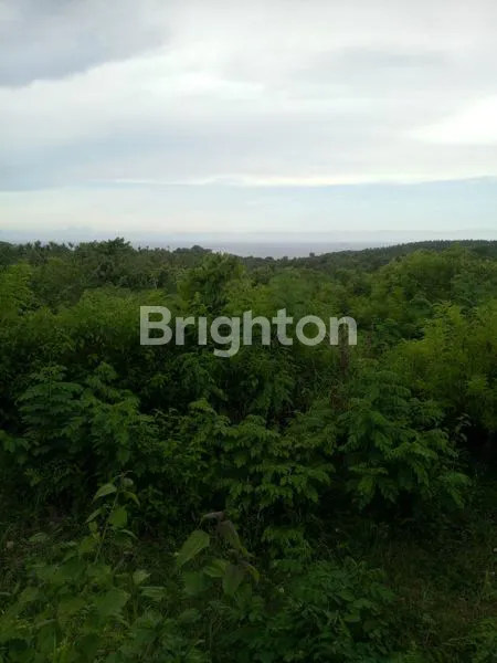 image TANAH SHM STRATEGIS NUSA PENIDA, VIEW LAUT, COCOK HOTEL/VILLA (2)