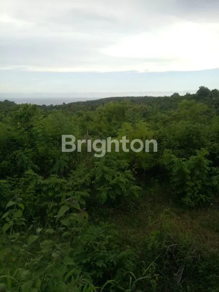 image TANAH SHM STRATEGIS NUSA PENIDA, VIEW LAUT, COCOK HOTEL/VILLA (3)