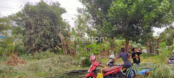 image TANAH SIAP BANGUN, STRATEGIS DEKAT STADION (3)