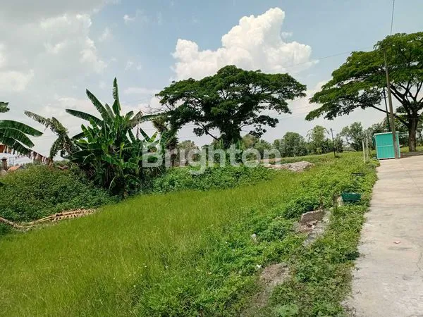 image JUAL TANAH KERING STRATEGIS (1)