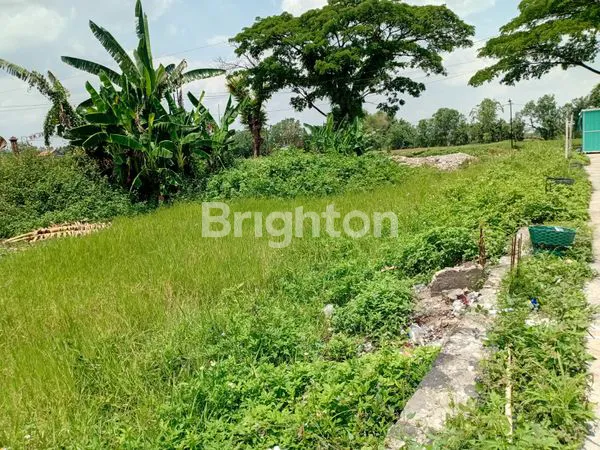 image JUAL TANAH KERING STRATEGIS (3)