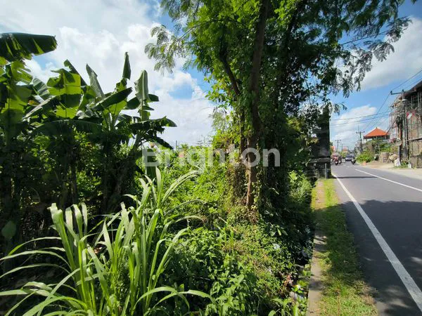 image TANAH PREMIUM PINGGIR JALAN UTAMA DI PERERENAN . (5)