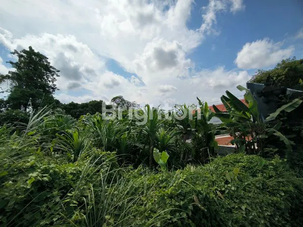 image TANAH PREMIUM PINGGIR JALAN UTAMA DI PERERENAN . (4)