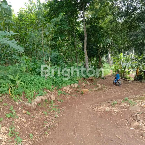 image TANAH KUNING 25HA MIJEN DEKAT BSB (3)