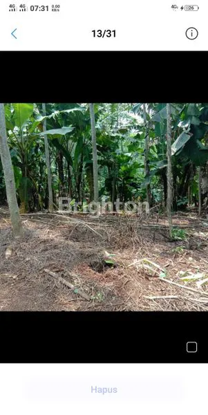 image TANAH KUNING 25HA MIJEN DEKAT BSB (4)