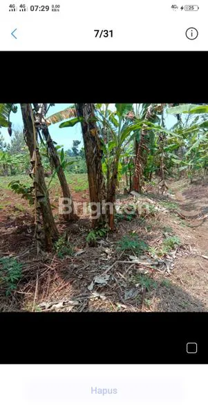 image TANAH KUNING 25HA MIJEN DEKAT BSB (5)