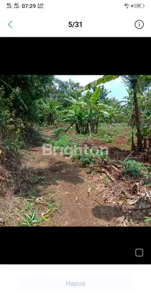 image TANAH KUNING 25HA MIJEN DEKAT BSB (6)