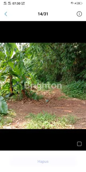 image TANAH KUNING 25HA MIJEN DEKAT BSB (8)