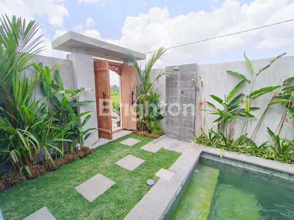 image VILLA MODERN 3BR DENGAN VIEW SAWAH – KEDIRI TABANAN  (6)