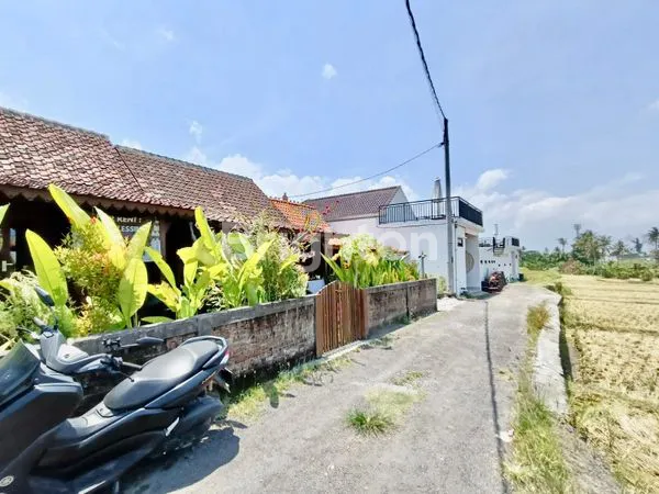 image VILLA TANAH LOT 2KT VIEW HIJAU DEKAT PANTAI CANGGU (4)