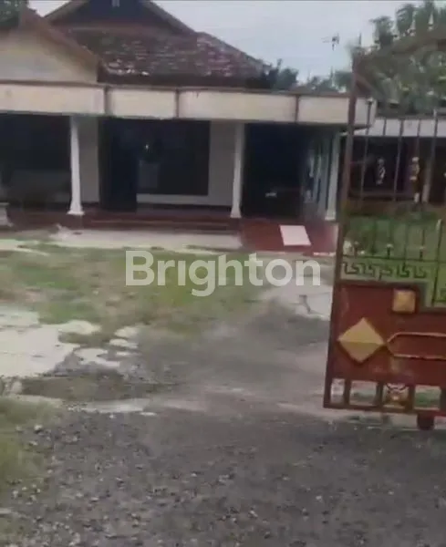 image RUMAH STRATEGIS LT 1177 NOL JALAN PROVINSI KERTOSONO KEDIRI (1)