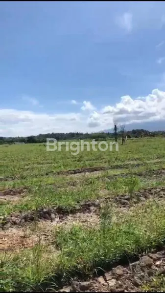 image LAHAN KOMERSIAL 1 HEKTAR DI JALUR UTAMA DENPASAR-GILIMANUK (5)