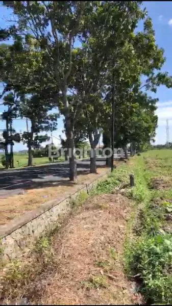 image LAHAN KOMERSIAL 1 HEKTAR DI JALUR UTAMA DENPASAR-GILIMANUK (2)