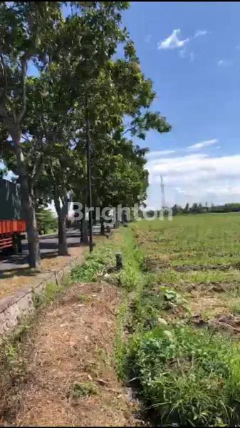 LAHAN KOMERSIAL 1 HEKTAR DI JALUR UTAMA DENPASAR-GILIMANUK