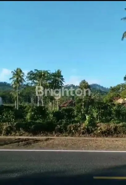 TANAH MURAH LUAS 5000 M² POROS JALAN PROVINSI PAMEKASAN - MADURA