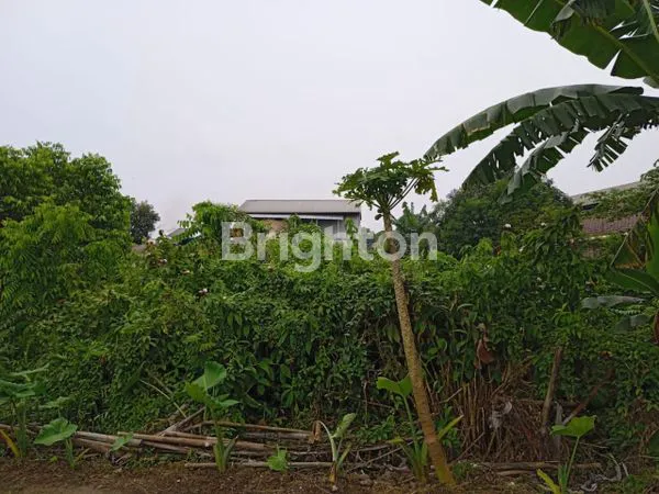 image TANAH CIMONE TANGERANG (2)