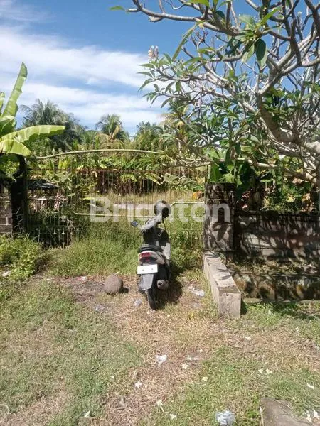 image PREMIUM 7400M² TANAH STRATEGIS DI JALUR UTAMA DENPASAR-GILIMANUK (2)
