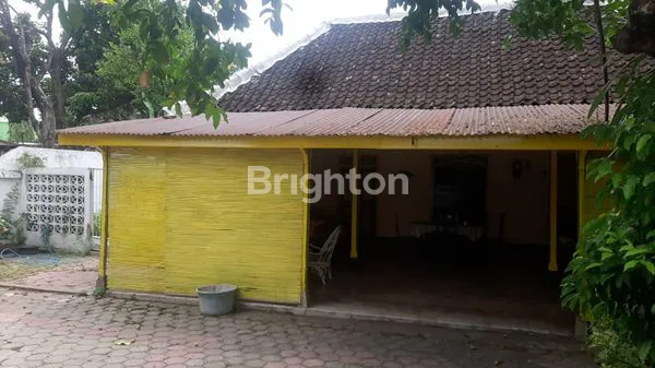 image DISEWAKAN RUMAH DI JALAN KENARI (1)