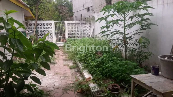 image DISEWAKAN RUMAH DI JALAN KENARI (5)