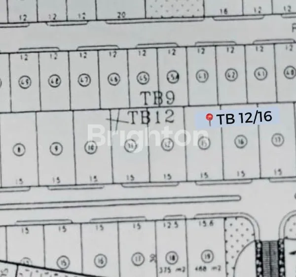 image TANAH CITRALAND RAFFLES BENTUK KOTAK SIAP BANGUN ROW JALAN BESAR (1)