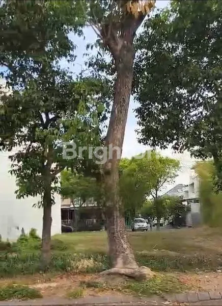 image TANAH SIAP BANGUN CITRALAND SURABAYA (1)