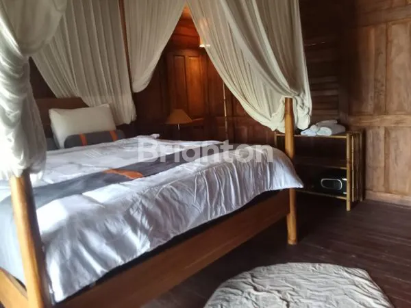 image VILLA EKSKLUSIF TANAH LOT, LINGKUNGAN ASRI & TENANG (3)