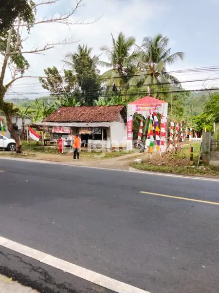 image DIJUAL TANAH LUAS STRATEGIS -PINGGIR JALAN PROVINSI PADAHERANG, PANGANDARAN  (5)