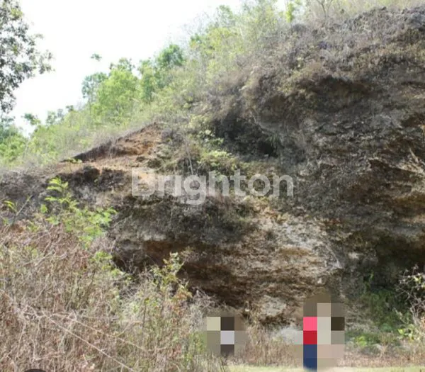 image DIJUAL TANAH LUAS STRATEGIS -PINGGIR JALAN PROVINSI PADAHERANG, PANGANDARAN  (1)