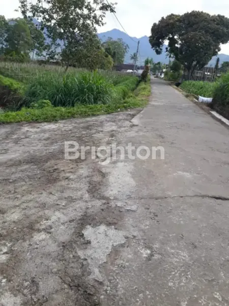 image TANAH DI PUJON KIDUL MALANG MARON (2)