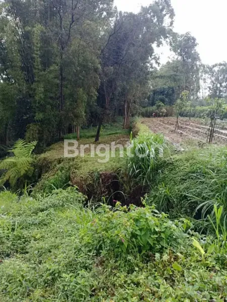 image TANAH DI PUJON KIDUL MALANG MARON (3)