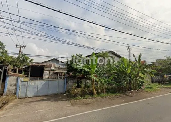 image GUDANG DI RAYA BAMBE SIAP PAKAI (1)