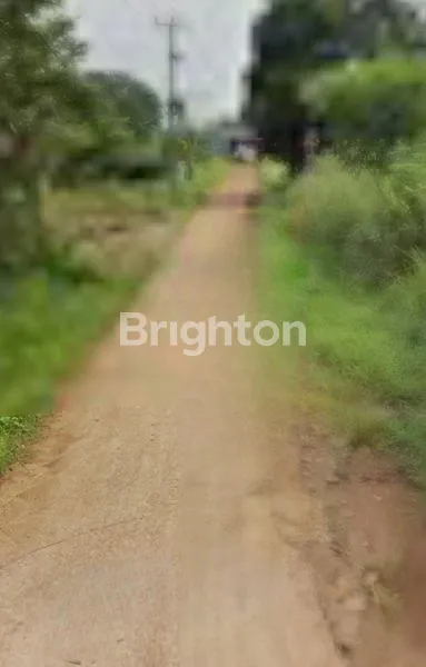 image TANAH MURAH TAJUR HALANG BOGOR CITAYEM  (2)