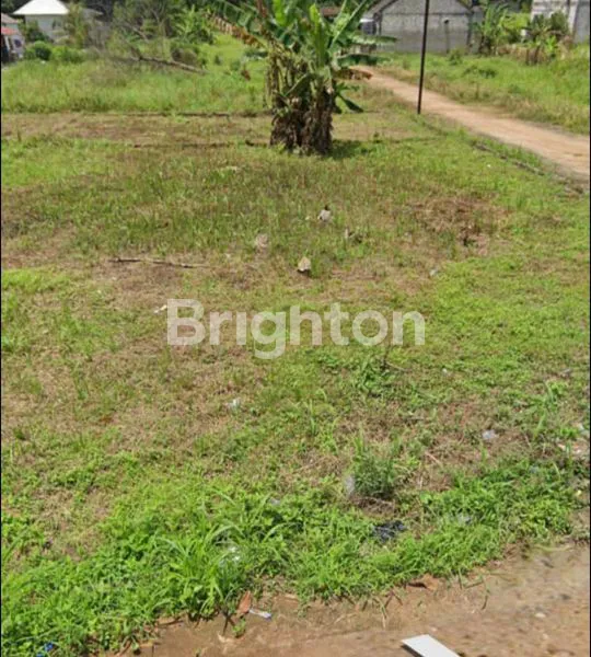 image TANAH MURAH TAJUR HALANG BOGOR CITAYEM  (3)