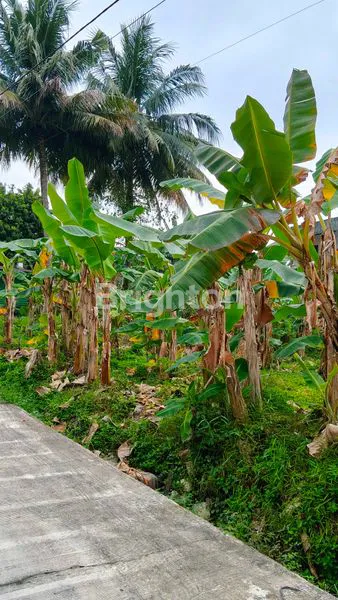 image TANAH SIAP BANGUN DI JLN PUPUK KALTIM BALIKPAPAN (2)